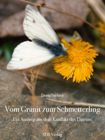 Schmetterlingsbild