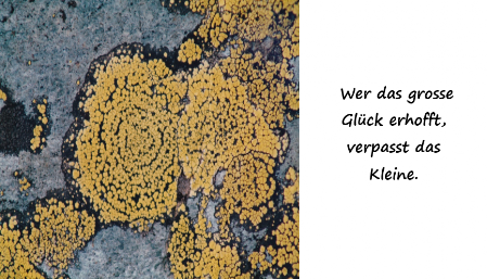 Das Kleine