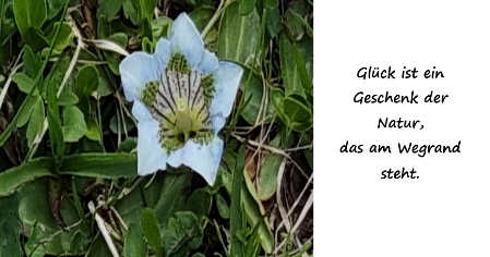 Glück