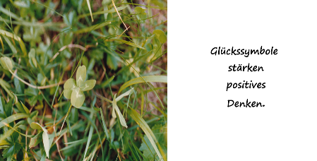 Glückssymbole