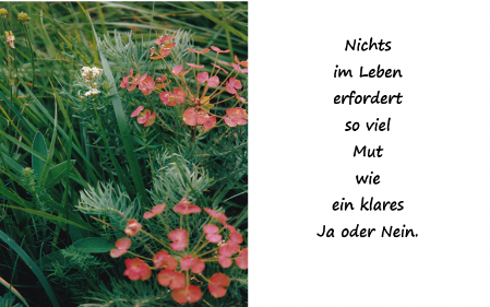 Ja oder Nein