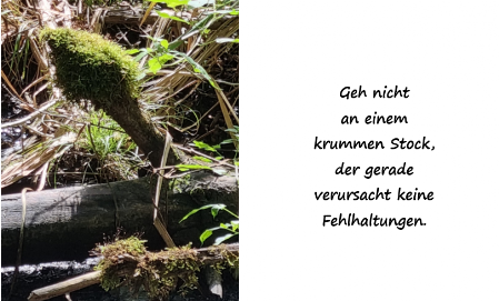 Krummen Stock