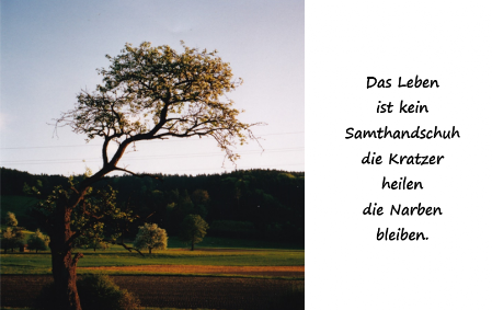 Samthandschuh