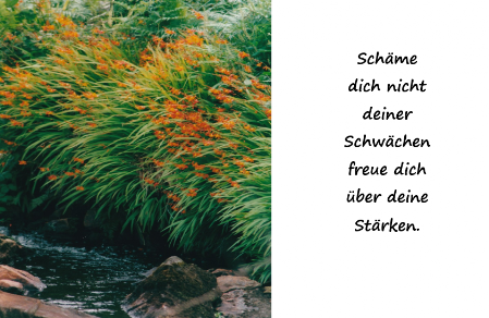 Schwächen