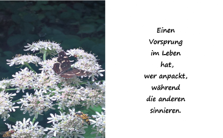 Vorsprung im Leben