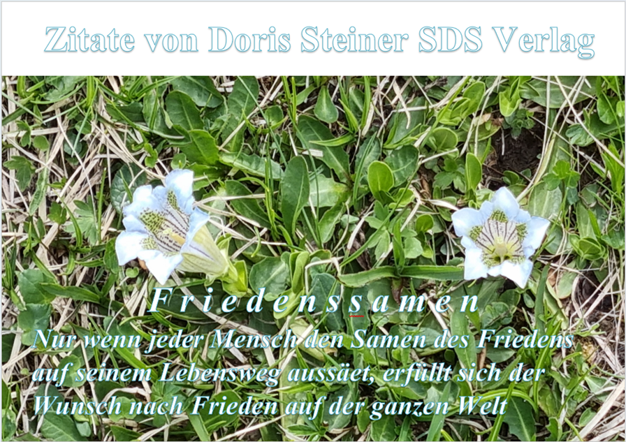 Zitate von Doris Steiner